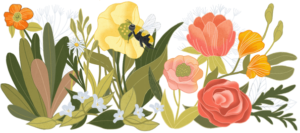 Illustration Pflanze Joyce Meyer