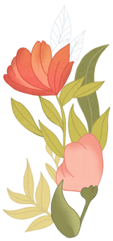 Illustration Blume Joyce Meyer
