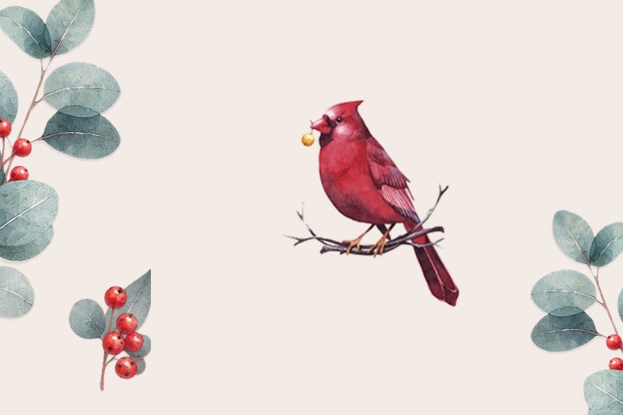 Roter Kardinalvogel mit Eukalyptuszweigen und Beeren zum Thema Erntedank