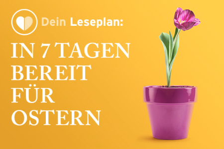 Blume im Topf Leseplan Ostern Joyce Meyer